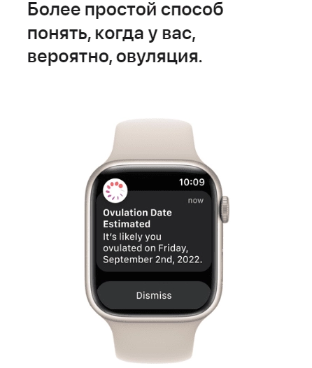 Apple Watch Series 8