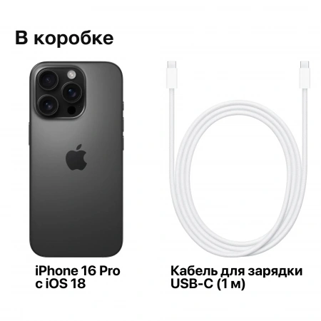 смартфон apple iphone 16 pro max 256 гб, black titanium (nano-sim + esim)